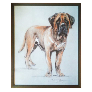 Kuklík Ladislav - Pes | 51.2x61.2