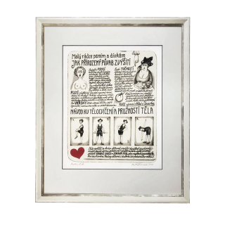 Hüttnerová Iva - Rádce ženy | 49.2x59.2