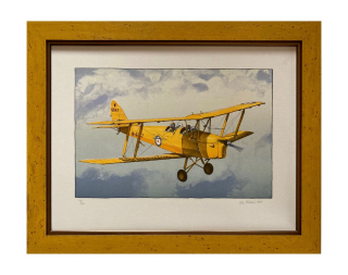 Ptáček Petr - Tigermoth | 53.1x41.0