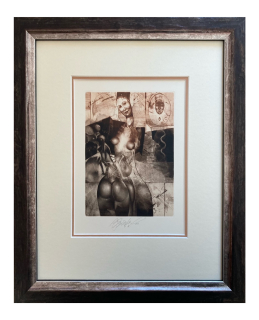 Brázda Jiří - Nevěsta pro Václava Hollara | 33.1x40.7