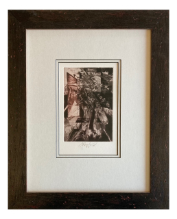 Brázda Jiří - Salome | 33.5x41.3